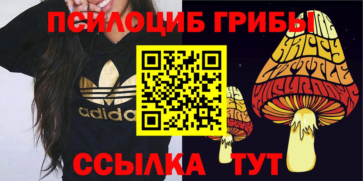 Псилоцибиновые грибы Psilocybe  Галлюциногенные грибы ЛСД  Камышин  Вход с VPN 