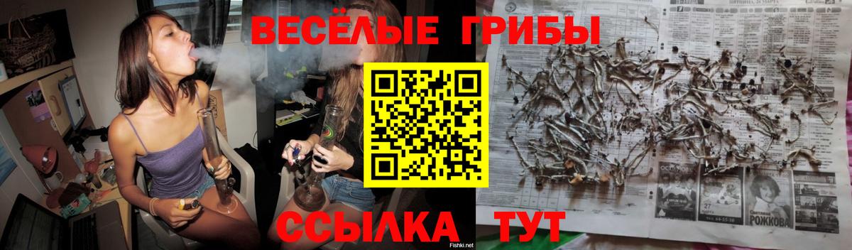 Псилоцибиновые грибы Magic Shrooms Камышин