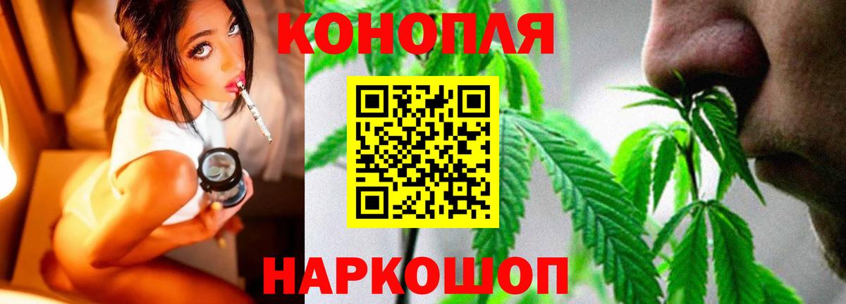 Шишки марихуана конопля Камышин